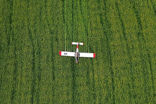 07072023
John Lepp with Rivers Air Spray applies fungicide to a crop of canola near Bradwardine from his Air Tractor AT-802F on Thursday morning. 
(Tim Smith/The Brandon Sun)