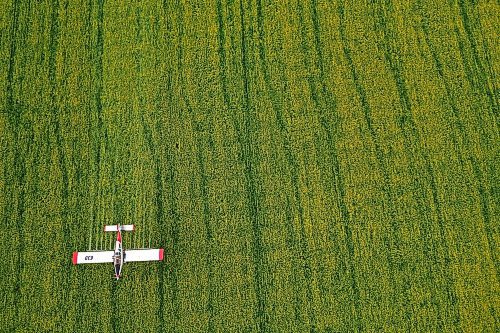 07072023
John Lepp with Rivers Air Spray applies fungicide to a crop of canola near Bradwardine from his Air Tractor AT-802F on Thursday morning. 
(Tim Smith/The Brandon Sun)