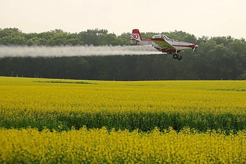 07072023
John Lepp with Rivers Air Spray applies fungicide to a crop of canola near Bradwardine from his Air Tractor AT-802F on Thursday morning. 
(Tim Smith/The Brandon Sun)