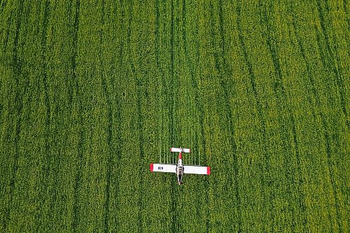 07072023
John Lepp with Rivers Air Spray applies fungicide to a crop of canola near Bradwardine from his Air Tractor AT-802F on Thursday morning. 
(Tim Smith/The Brandon Sun)