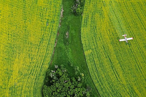 07072023
John Lepp with Rivers Air Spray applies fungicide to a crop of canola near Bradwardine from his Air Tractor AT-802F on Thursday morning. 
(Tim Smith/The Brandon Sun)