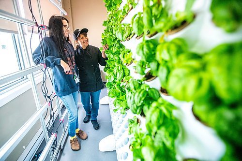 MIKAELA MACKENZIE / FREE PRESS

Kendall Giilck, social enterprise and employment program manager (left), and Tea Travis, kitchen supervisor, with the new hydroponic greens growing system at Siloam Mission on Friday, July 26, 2024. 

For Kevin story.