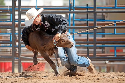 Colt Van Straten of Stettler, Alta., grabs a calf to tie its legs during the high school tie down roping event at the first go-round of the 2024 Canadian High School Rodeo Finals at the Keystone Centre on Thursday. (Tim Smith/The Brandon Sun)