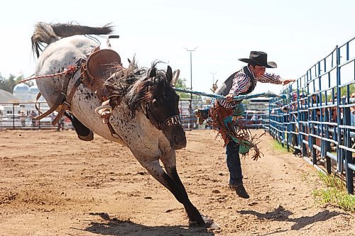 Trey Shadlock of DebDen, Sask., is thrown from his horse during the high school bronc riding event. (Tim Smith/The Brandon Sun)