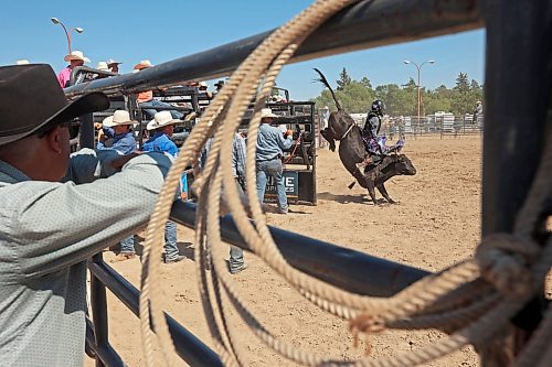 Jase Sawley of Vanderhoof, B.C., competes in the junior high bulls event. (Tim Smith/The Brandon Sun)