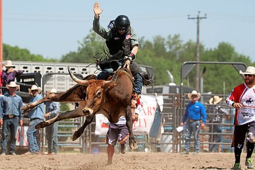 Carter Rosvold of Ethelbert, Sask., tries to stay atop a bucking steer during the junior high bareback event. (Tim Smith/The Brandon Sun)