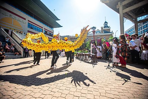 MIKAELA MACKENZIE / FREE PRESS

	
A dragon dance kicks off a Folklorama media event at the Winnipeg Chinese Cultural and Community Centre on Thursday, Aug. 1, 2024. 

