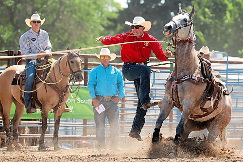 01082024
Laramie Collen of Virden, Manitoba leaps off his horse to catch a lassoed calf during the high school tie down roping event at the first go-round of the 2024 Canadian High School Rodeo Finals at the Keystone Centre on a scorching hot Thursday. Approximately 250 contestants from across the country are competing in the finals, which wrap up Saturday.
(Tim Smith/The Brandon Sun)