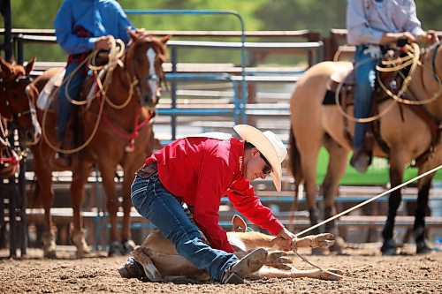 01082024
Laramie Collen of Virden, Manitoba ties the legs of a calf during the high school tie down roping event at the first go-round of the 2024 Canadian High School Rodeo Finals at the Keystone Centre on a scorching hot Thursday. Approximately 250 contestants from across the country are competing in the finals, which wrap up Saturday.
(Tim Smith/The Brandon Sun)