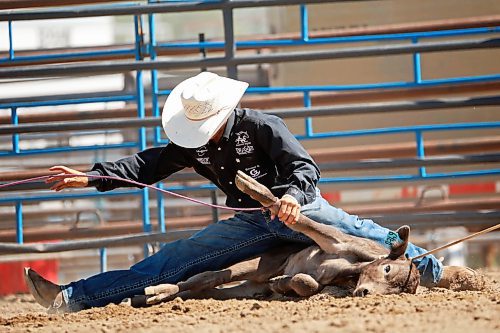 01082024
Colt Van Straten of Stettler, Alberta ties the legs of a calf during the high school tie down roping event at the first go-round of the 2024 Canadian High School Rodeo Finals at the Keystone Centre on a scorching hot Thursday. Approximately 250 contestants from across the country are competing in the finals, which wrap up Saturday.
(Tim Smith/The Brandon Sun)