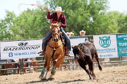 01082024
Paisley Cornwall of Fort Qu'Appelle, Saskatchewan tries to lasso a calf during the junior high girls breakaway roping event at the first go-round of the 2024 Canadian High School Rodeo Finals at the Keystone Centre on a scorching hot Thursday. Approximately 250 contestants from across the country are competing in the finals, which wrap up Saturday.
(Tim Smith/The Brandon Sun)