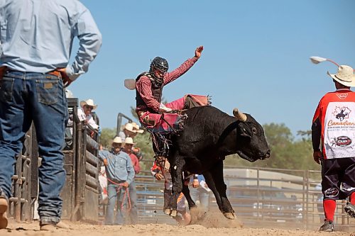 01082024
Chase Skene of Prince Albert, Saskatchewan competes in the high school bulls event at the first go-round of the 2024 Canadian High School Rodeo Finals at the Keystone Centre on Thursday. Approximately 250 contestants from across the country are competing in the finals, which wrap up Saturday.
(Tim Smith/The Brandon Sun)