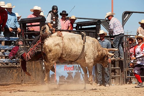 01082024
Colton Stark of Wabumun, Alberta is thrown from his bull while competing in the high school bulls event at the first go-round of the 2024 Canadian High School Rodeo Finals at the Keystone Centre on Thursday. Approximately 250 contestants from across the country are competing in the finals, which wrap up Saturday.
(Tim Smith/The Brandon Sun)