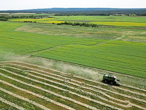 Harvest has begun in Westman. A combine works a field north of Riding Mountain National Park on Friday afternoon. (Tim Smith/The Brandon Sun)