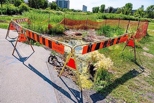 NIC ADAM / FREE PRESS
Residents say the huge hole we reported on last year, pictured Friday, remains alongside the Sturgeon Creek pathway. Coun. Shawn Dobson said he agrees as it poses a safety hazard, though the city has a plan to fix it. 
240802 - Friday, August 02, 2024.

Reporter: Joyanne
