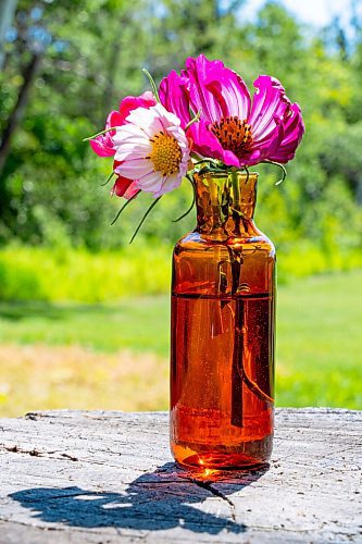 NIC ADAM / FREE PRESS
Glass worker Brook Drabot&#x2019;s creations pictured Friday. Brook loves making very small things, blowing glass to create tiny vases, miniature ornaments and small bowls. 
240801 - Thursday, August 01, 2024.

Reporter: