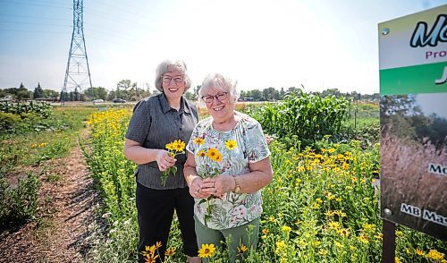 Ruth Bonneville / Free Press

VOLUNTEERS - St. Vital Agricultural Society

Environmental portrait of longtime volunteers and friends, Karen Jack (taller) and Karen Irvine at St. Vital Community Garden.  The two are longtime volunteers with The St. Vital Agricultural Society which helped start the gardens.

See Aaron's column


July 31st,  2024

