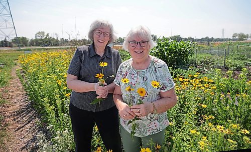 Ruth Bonneville / Free Press

VOLUNTEERS - St. Vital Agricultural Society

Environmental portrait of longtime volunteers and friends, Karen Jack (taller) and Karen Irvine at St. Vital Community Garden.  The two are longtime volunteers with The St. Vital Agricultural Society which helped start the gardens.

See Aaron's column


July 31st,  2024

