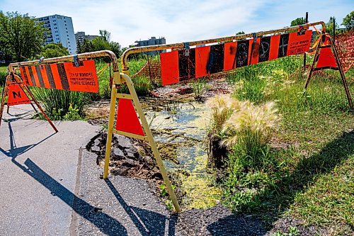 NIC ADAM / FREE PRESS
Residents say the huge hole we reported on last year, pictured Friday, remains alongside the Sturgeon Creek pathway. Coun. Shawn Dobson said he agrees as it poses a safety hazard, though the city has a plan to fix it. 
240802 - Friday, August 02, 2024.

Reporter: Joyanne
