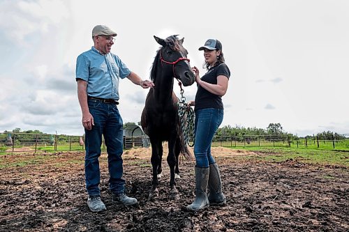 Ruth Bonneville / Free Press

ENT - Ojibwe horses

Michelle McConomy and her dad, Bob McConomy along with Gwen Donohoe (outside fence), who are looking after Chase, a 15-year-old Ojibwe stallion at Place: Sagehill Stables. 

Subject: Michelle McConomy, a student at Sagehill Stables, is the local caretaker of Chase, a stallion from Ontario and one of a few hundred Ojibwe horses left in the country. Will be meeting with Michelle and Sagehill owner Gwen Donohoe to hear about the breeding program their working on to keep Chase&#x2019;s endangered lineage alive.


Eva Wasney's story

July 22nd,  2024

