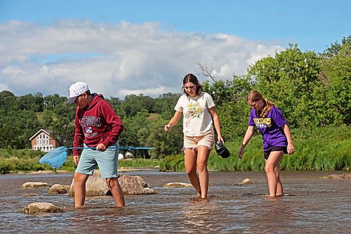 08082024
Siblings Mikkel, Azaliah and Violet MacLellan explore the Little Saskatchewan River with family on a warm and windy Thursday.
(Tim Smith/The Brandon Sun)