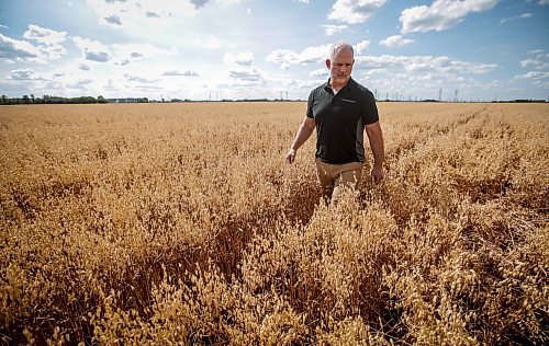 JOHN WOODS / FREE PRESS
Greg Stewart, founder and CEO of Geco Strategic Weed Management is photographed as he inspects a field just outside Winnipeg Monday, August 12, 2024. The Vancouver based company uses data and artificial intelligence to predict weeds in farmers fields, allowing for more targeted weed management.

Reporter: gabby