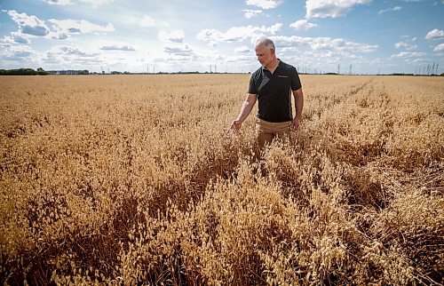 JOHN WOODS / FREE PRESS
Greg Stewart, founder and CEO of Geco Strategic Weed Management is photographed as he inspects a field just outside Winnipeg Monday, August 12, 2024. The Vancouver based company uses data and artificial intelligence to predict weeds in farmers fields, allowing for more targeted weed management.

Reporter: gabby