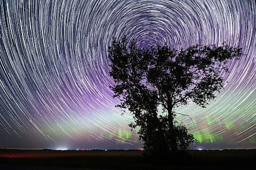 A lone tree, silhouetted by the shimmering northern lights on the horizon, stands in a field west of Forrest, while a trail of stars circles the North Star overhead, early Tuesday morning. This image is a composite of 315 photos that were taken over the course of one hour. The photos were then "stacked" together using a computer program. The image creates a visual representation of the rotation of the earth as the stars move in the night sky. Also visible are the criss-cross lines of artificial satellites as they move through the night sky, and one or two faint shooting stars — part of the Perseid meteor shower that is visible every summer from mid-July to late August. The meteor shower hit its peak between Aug. 11 and Aug. 12. (Matt Goerzen/The Brandon Sun)


