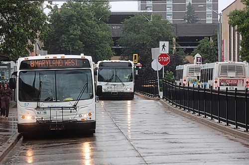 Brandon Transit buses queue at the downtown terminal on a rainy Wednesday afternoon. (Tim Smith/The Brandon Sun)