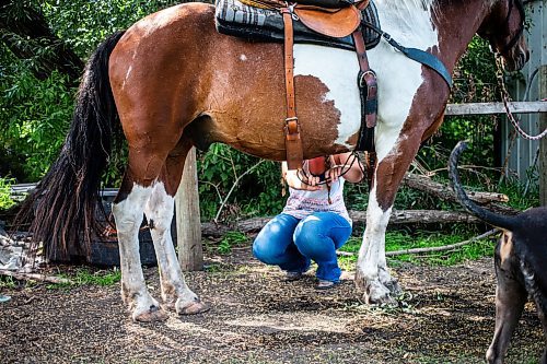 MIKAELA MACKENZIE / FREE PRESS

	
Amy Scott figures out how to best make a back cinch work for Alyssa Selman&#x573; customized saddle on Duke on Tuesday, Aug. 13, 2024.

For Mike McIntyre story.