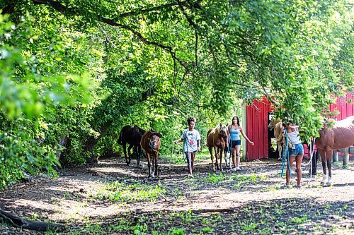 MIKAELA MACKENZIE / FREE PRESS

	
Moriah Hector (left, 13), Kimisha Scott (15), and Raelene Husbands (12) catch horses to feed them on Alyssa Selman&#x573; property near Graysville on Tuesday, Aug. 13, 2024.

For Mike McIntyre story.