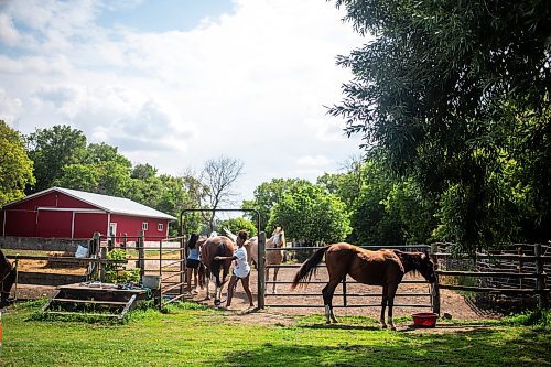 MIKAELA MACKENZIE / FREE PRESS

	
Kimisha Scott (left, 15) and Moriah Hector (13) feed horses on Alyssa Selman&#x573; property near Graysville on Tuesday, Aug. 13, 2024.

For Mike McIntyre story.