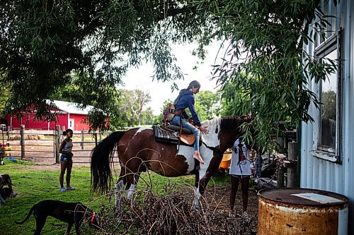 MIKAELA MACKENZIE / FREE PRESS

	
Alyssa Selman with her horse, Duke, on her property near Graysville on Tuesday, Aug. 13, 2024.

For Mike McIntyre story.