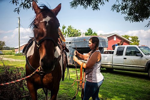 MIKAELA MACKENZIE / FREE PRESS

	
Amy Scott figures out how to best make a back cinch work for Alyssa Selman&#x573; customized saddle on Duke on Tuesday, Aug. 13, 2024.

For Mike McIntyre story.