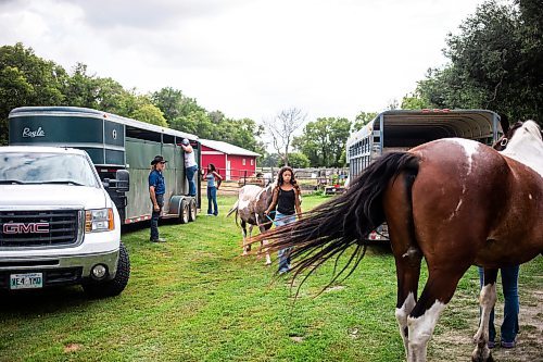 MIKAELA MACKENZIE / FREE PRESS

	
Horses get loaded into the trailers to go to the races on Tuesday, Aug. 13, 2024.

For Mike McIntyre story.