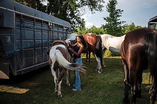 MIKAELA MACKENZIE / FREE PRESS

	
Ari Selman saddles her pony, Arcadia, at the Denim &amp; Dust Barrel Racing Series in Carman on Tuesday, Aug. 13, 2024.

For Mike McIntyre story.