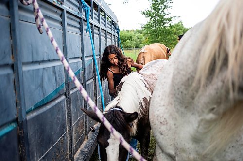 MIKAELA MACKENZIE / FREE PRESS

	
Ari Selman grooms her pony, Arcadia, at the Denim &amp; Dust Barrel Racing Series in Carman on Tuesday, Aug. 13, 2024.

For Mike McIntyre story.