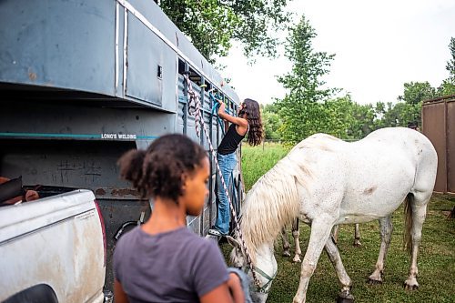 MIKAELA MACKENZIE / FREE PRESS

	
Raelene Husbands (left, 12) and Ari Selman (centre, 13), unload the horses at the Denim &amp; Dust Barrel Racing Series in Carman on Tuesday, Aug. 13, 2024.

For Mike McIntyre story.