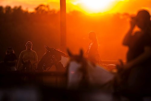 MIKAELA MACKENZIE / FREE PRESS

	
Alyssa Selman and her horse, Duke, wait their turn to race at the Denim &amp; Dust Barrel Racing Series in Carman on Tuesday, Aug. 13, 2024.

For Mike McIntyre story.