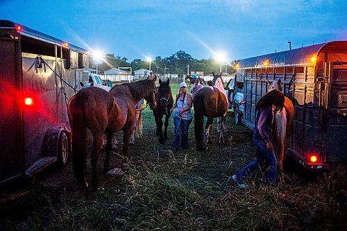 MIKAELA MACKENZIE / FREE PRESS

	
Alyssa sister, Amy Scott, loads the horses back in to the trailers as dusk turns to night after the Denim &amp; Dust Barrel Racing Series in Carman on Tuesday, Aug. 13, 2024.

For Mike McIntyre story.