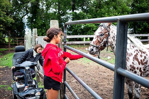 MIKAELA MACKENZIE / FREE PRESS

	
Alyssa Selman and her daughter, Ari Selman (13), greet their newest horse, Sketch, at their property near Graysville on Thursday, Aug. 8, 2024.

For Mike McIntyre story.