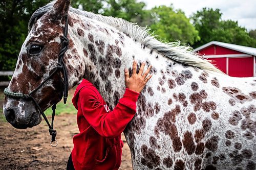 MIKAELA MACKENZIE / FREE PRESS

	
Ari Selman (13) and their newest horse, Sketch, at their property near Graysville on Thursday, Aug. 8, 2024.

For Mike McIntyre story.