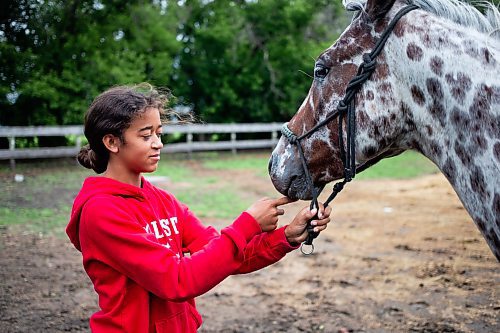 MIKAELA MACKENZIE / FREE PRESS

	
Ari Selman (13) and their newest horse, Sketch, at their property near Graysville on Thursday, Aug. 8, 2024.

For Mike McIntyre story.