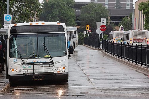 14082024
Brandon Transit buses queue at the downtown terminal on a rainy Wednesday afternoon. (Tim Smith/The Brandon Sun)