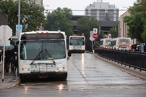 14082024
Brandon Transit busses cue at the downtown terminal on a rainy Wednesday afternoon.
(Tim Smith/The Brandon Sun)