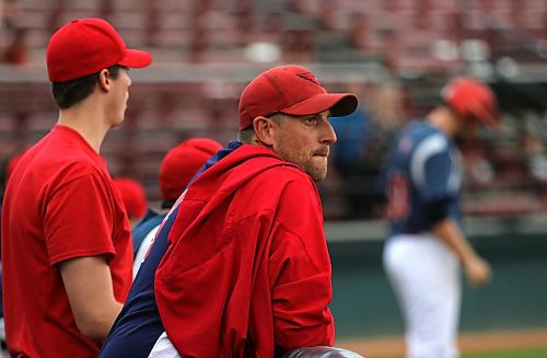 RFNOW Cardinals starter Adam Hartman watches the action against the Westman Fire Protection Cubs during Game 3 of the Andrew Agencies Senior AA Baseball League final on Thursday at Andrews Field. (Perry Bergson/The Brandon Sun)
Aug. 15, 2024