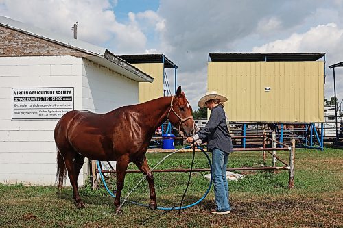 15082024
Abby Dalby of Ninga, Manitoba washes her horse dash after competing in day one of the Virden Indoor High School Rodeo at Tundra Oil and Gas Place in Virden on Thursday as part of the Virden Indoor Rodeo and Wild West Daze. Events continue all weekend in Virden including the first go round of the Virden Indoor Rodeo tonight. 
(Tim Smith/The Brandon Sun)