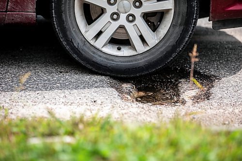 MIKAELA MACKENZIE / WINNIPEG FREE PRESS
	
A pothole at River Road and Riel Avenue on Friday, Aug. 16, 2024. 

For Joyanne story.
Winnipeg Free Press 2024