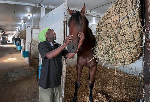 Ruth Bonneville / Free Press

Sports - Assiniboia Downs

Groomer, Clairmonte Parris, with Mr. Splash (horse), the recent CTHS Stakes winner in the stables at the  Assiniboia Downs backstretch.

See story by George Williams

 Aug 15th, 2024
