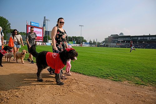 Mike Sudoma/Free Press
Canines and their owners take part in a parade around the diamond Saturday evenings game at Blue Cross Park 
August 17, 2024
